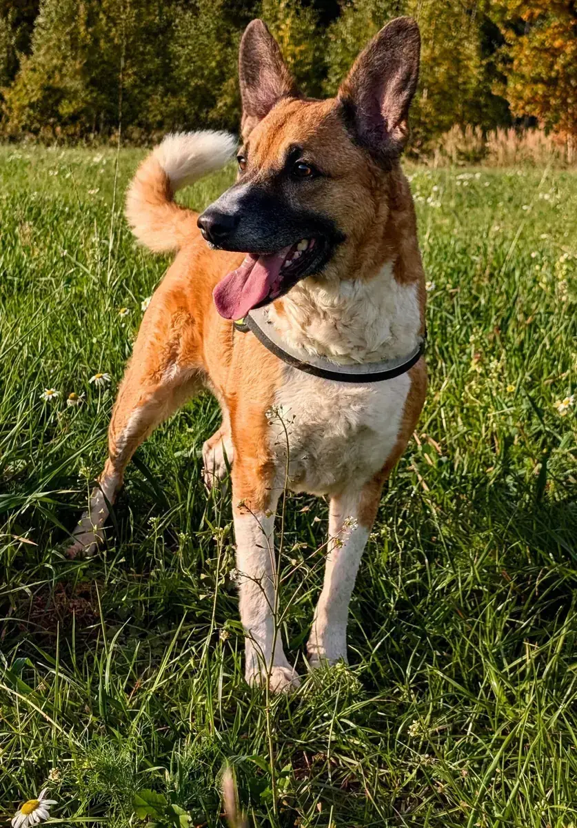 Cleo -  - Bild 2