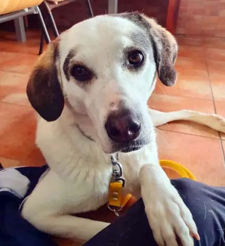 Kemo -  - Bild 1