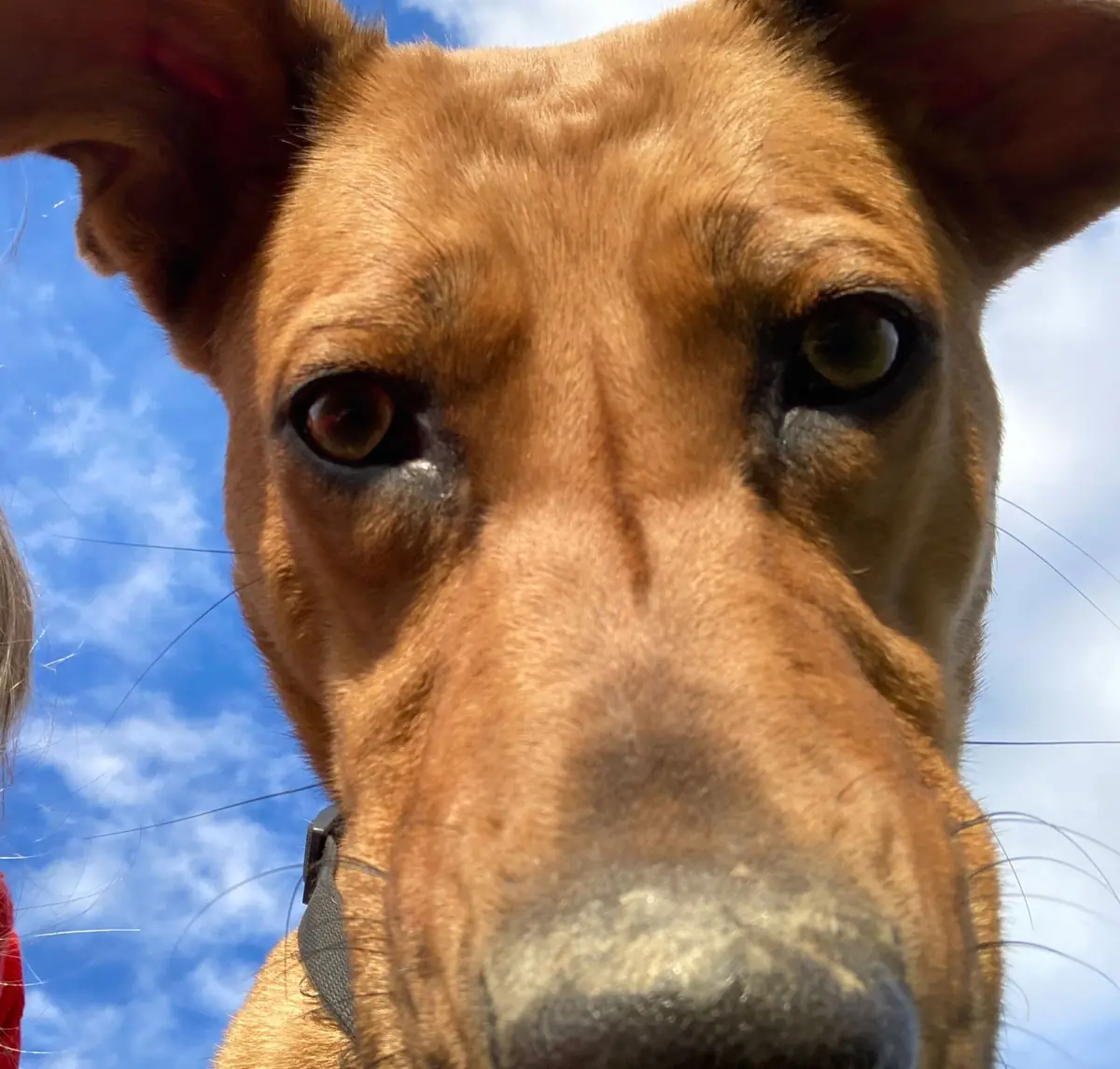 Penny -  - Bild 6