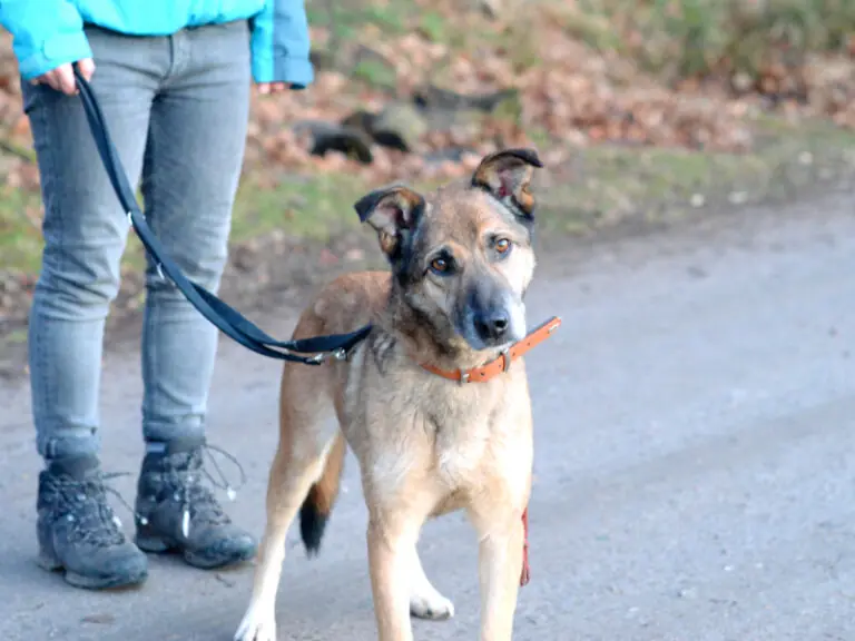 Benio -  - Bild 5