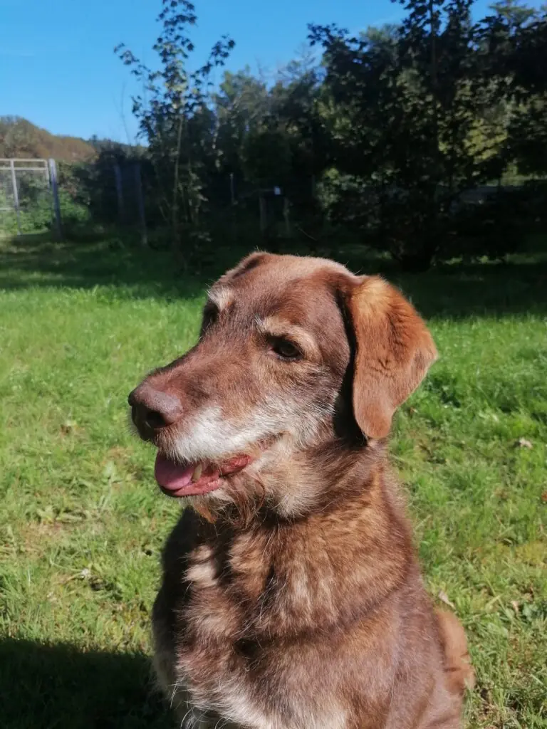 Max -  - Bild 13