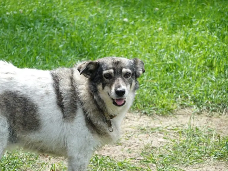 Grace -  - Bild 4