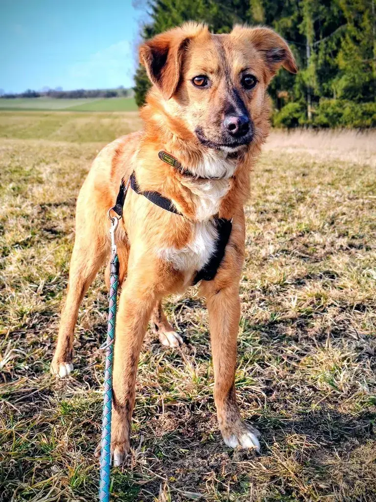 Yuna -  - Bild 2