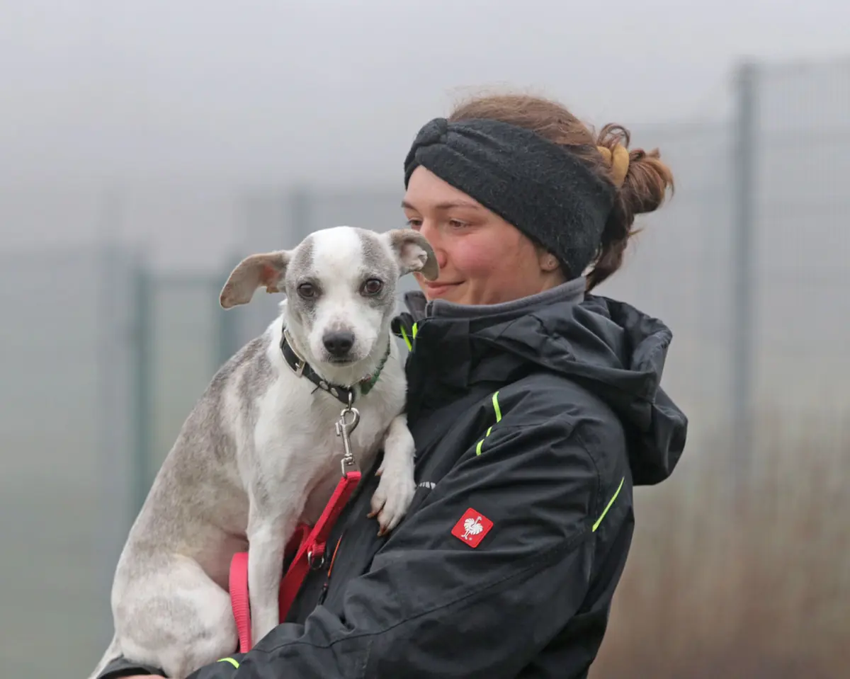 Paula -  - Bild 19