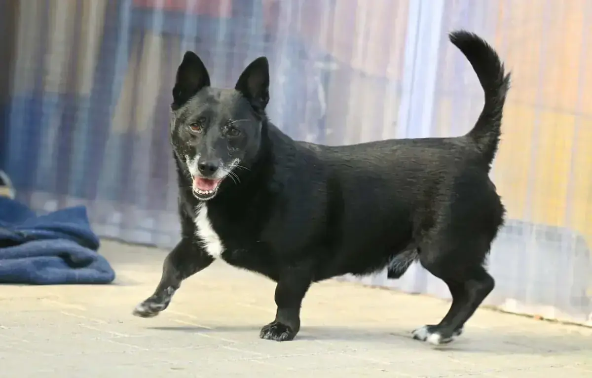 Fritzi -  - Bild 4
