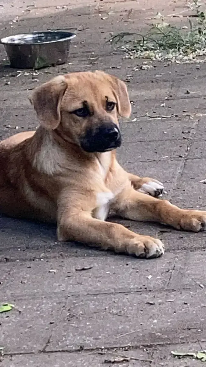 Mix Billy
