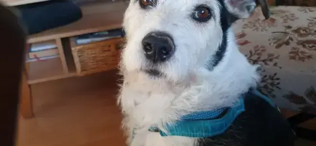 Zeus -  - Bild 1