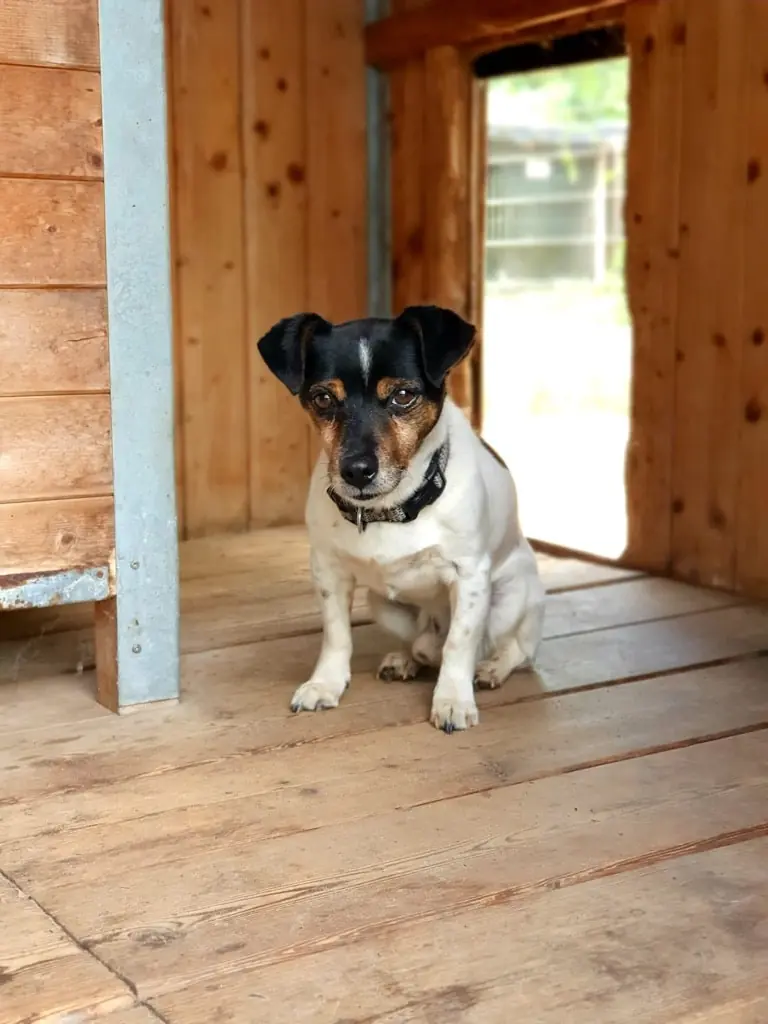 Max -  - Bild 5