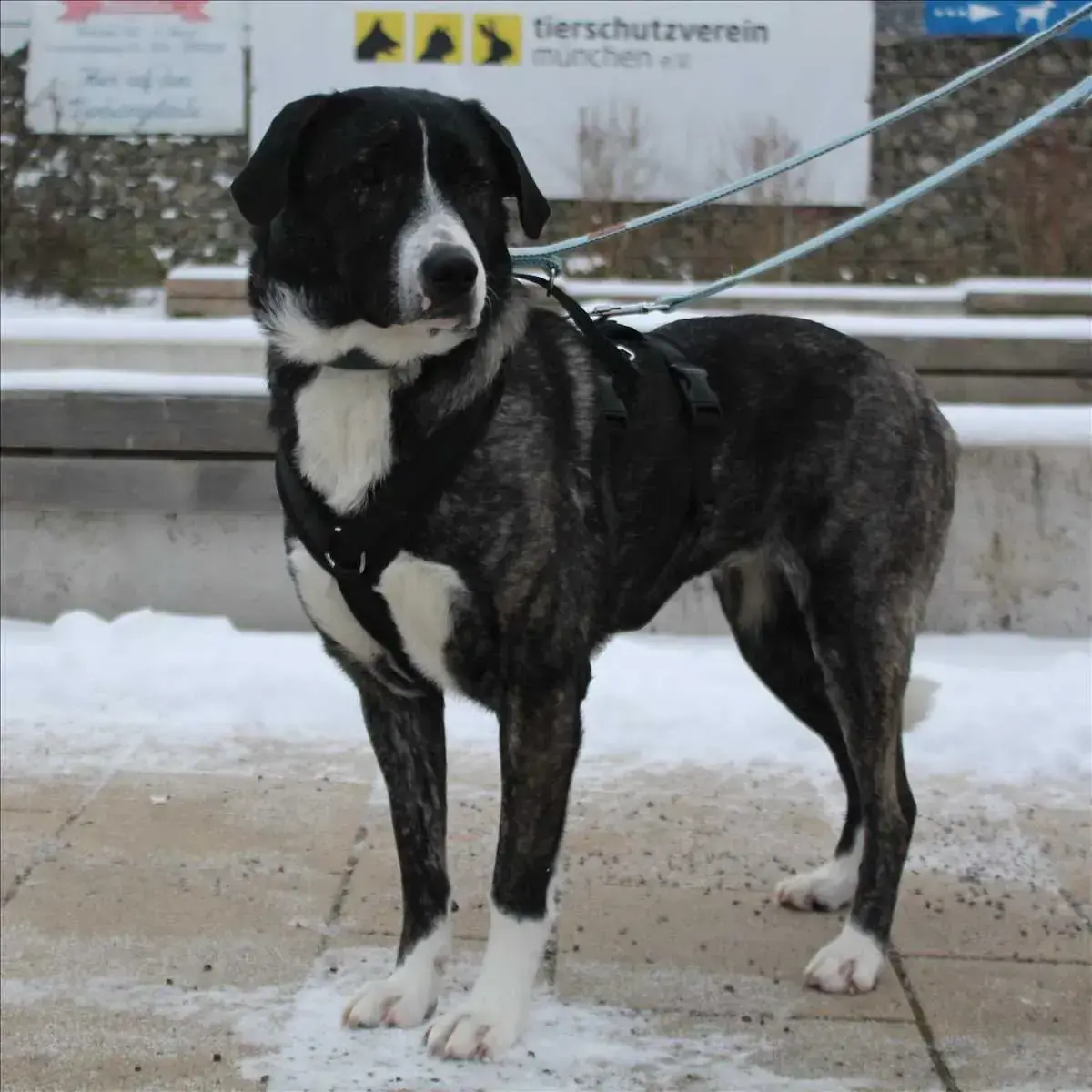 Emma -  - Bild 1