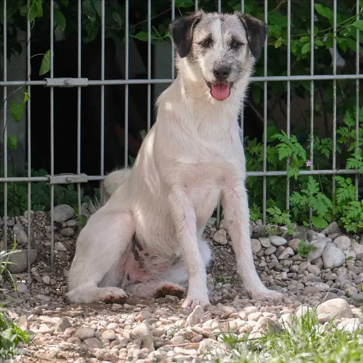 SABRINA -  - Bild 1