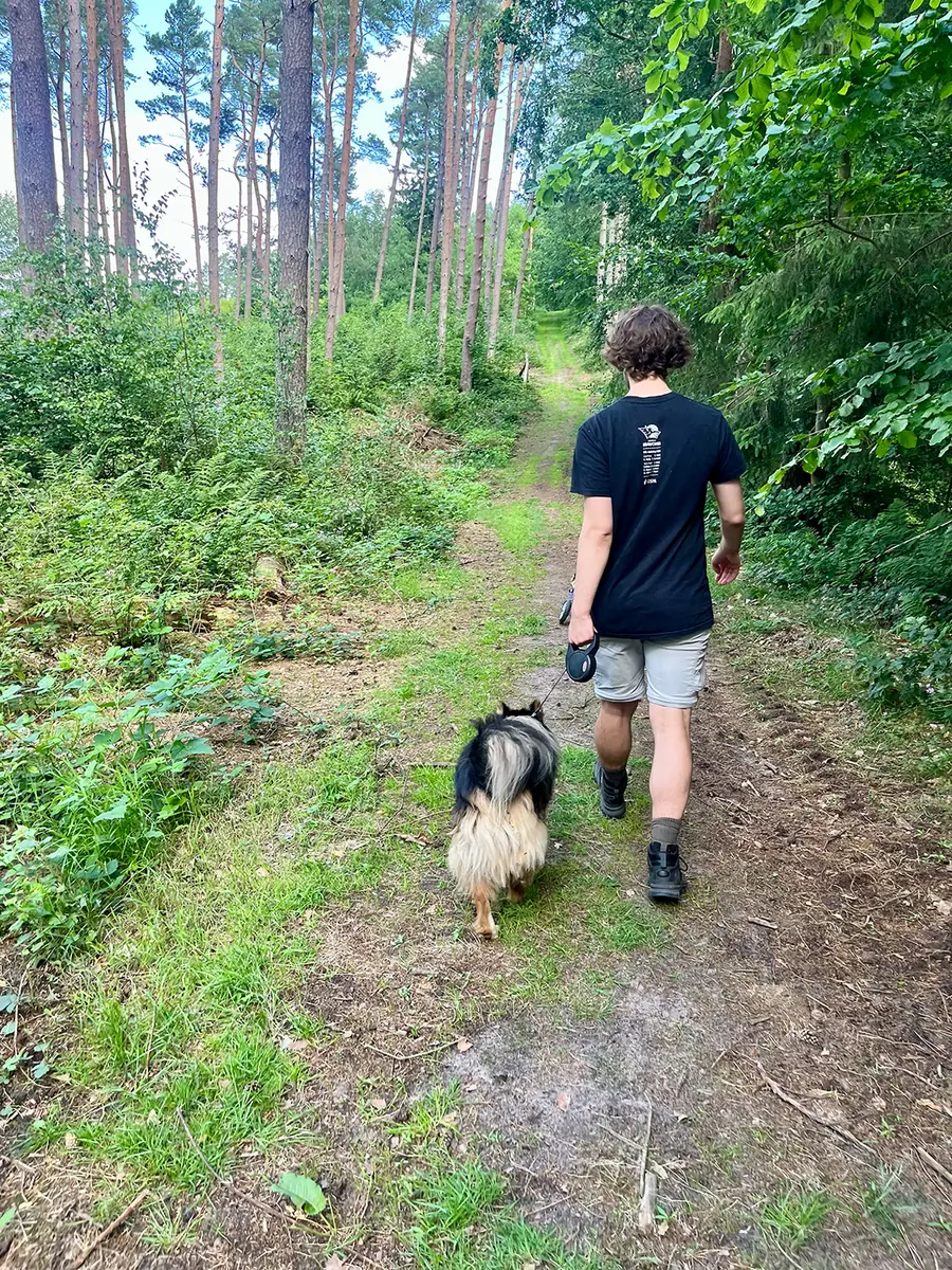 Loui -  - Bild 43