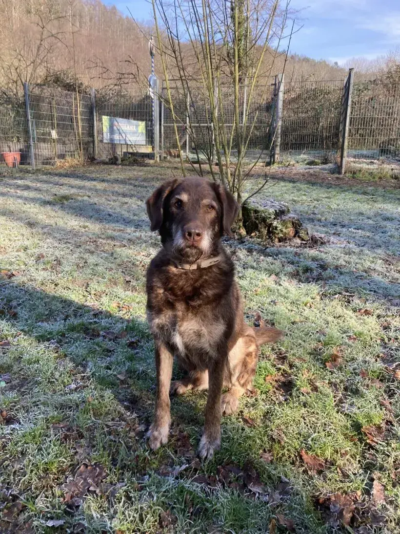 Max -  - Bild 8