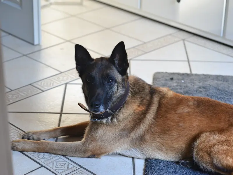 Tina II -  - Bild 12