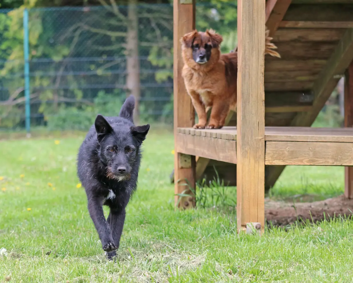 Gerda -  - Bild 5