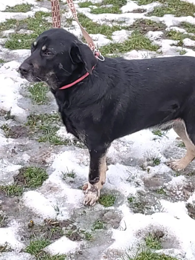 Sammy -  - Bild 3