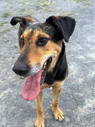 Lilly -  - Bild 2