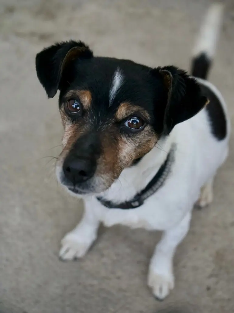 Max -  - Bild 8