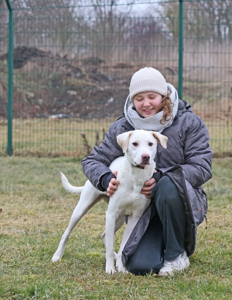 Rosa -  - Bild 18