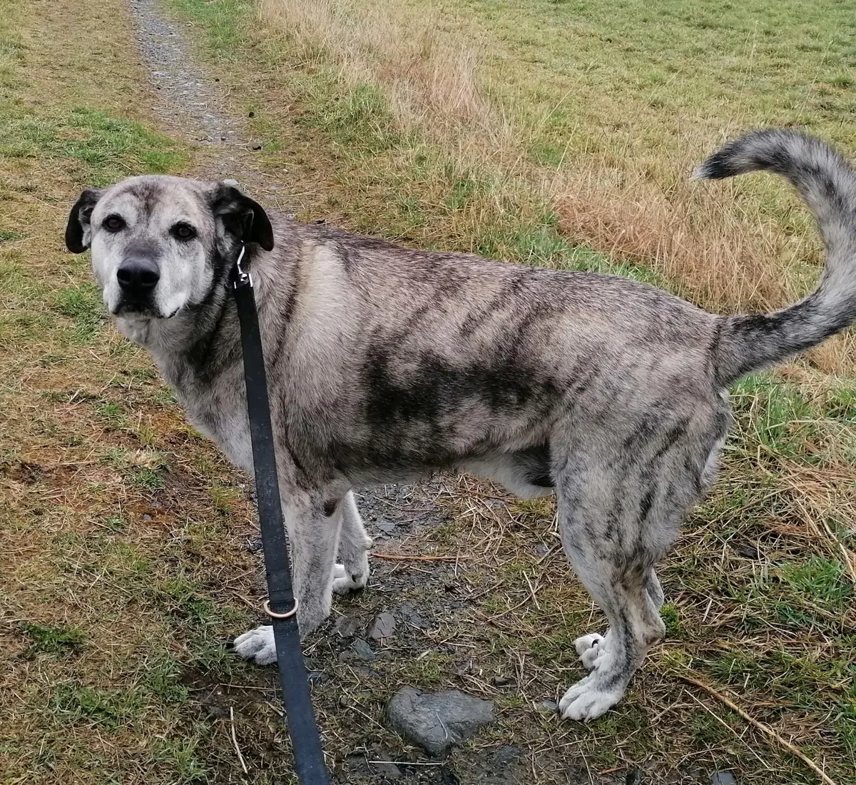 Lucky -  - Bild 2