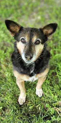 Bonny -  - Bild 2