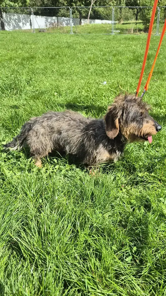 Max -  - Bild 6