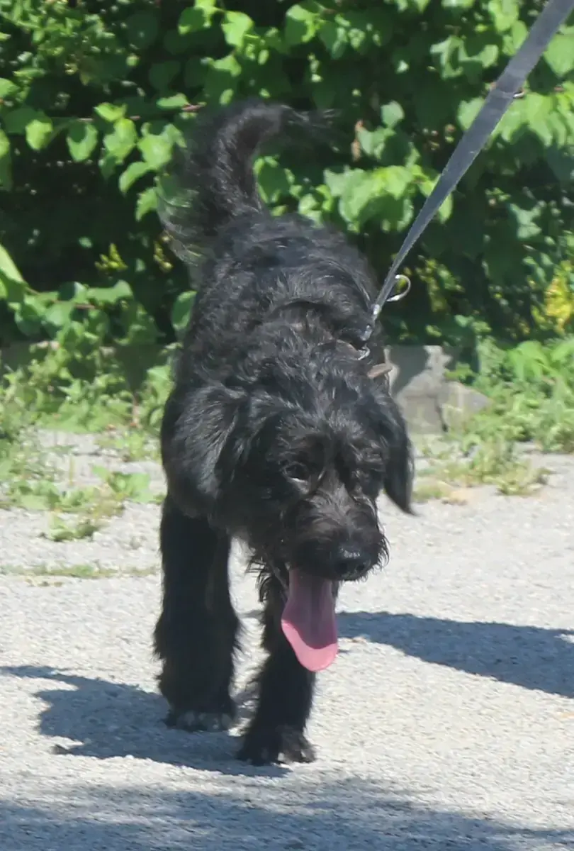Freddy -  - Bild 4
