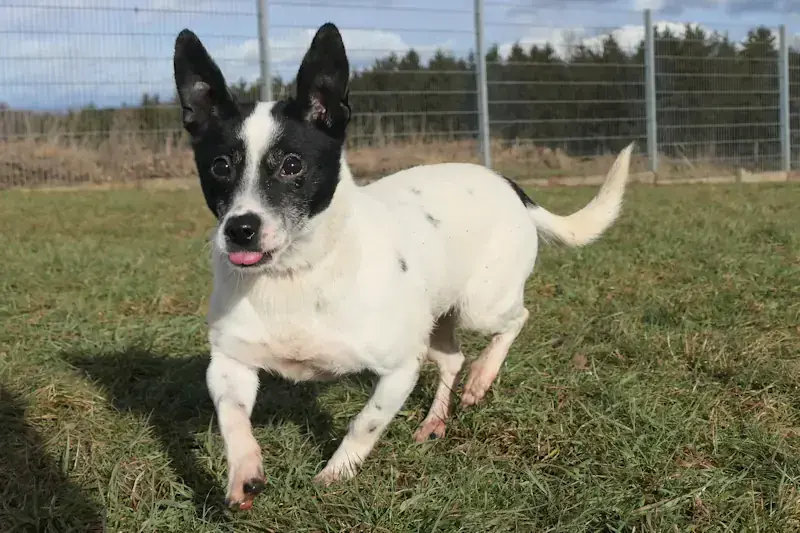 Frida -  - Bild 3