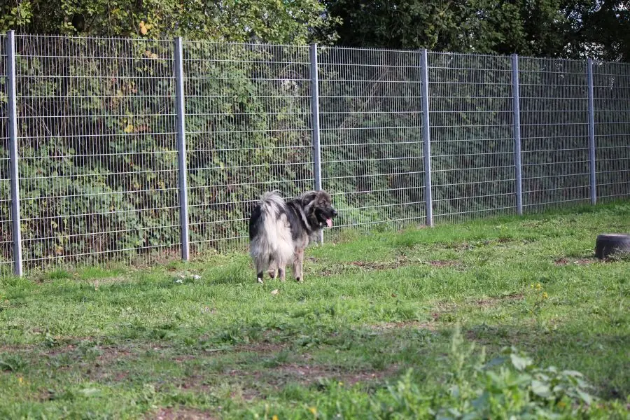 Rocky -  - Bild 23