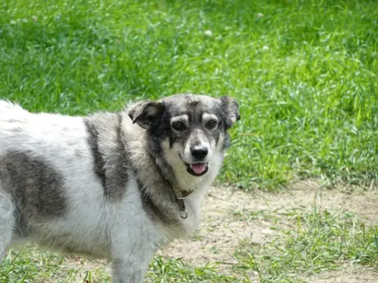 Grace -  - Bild 4