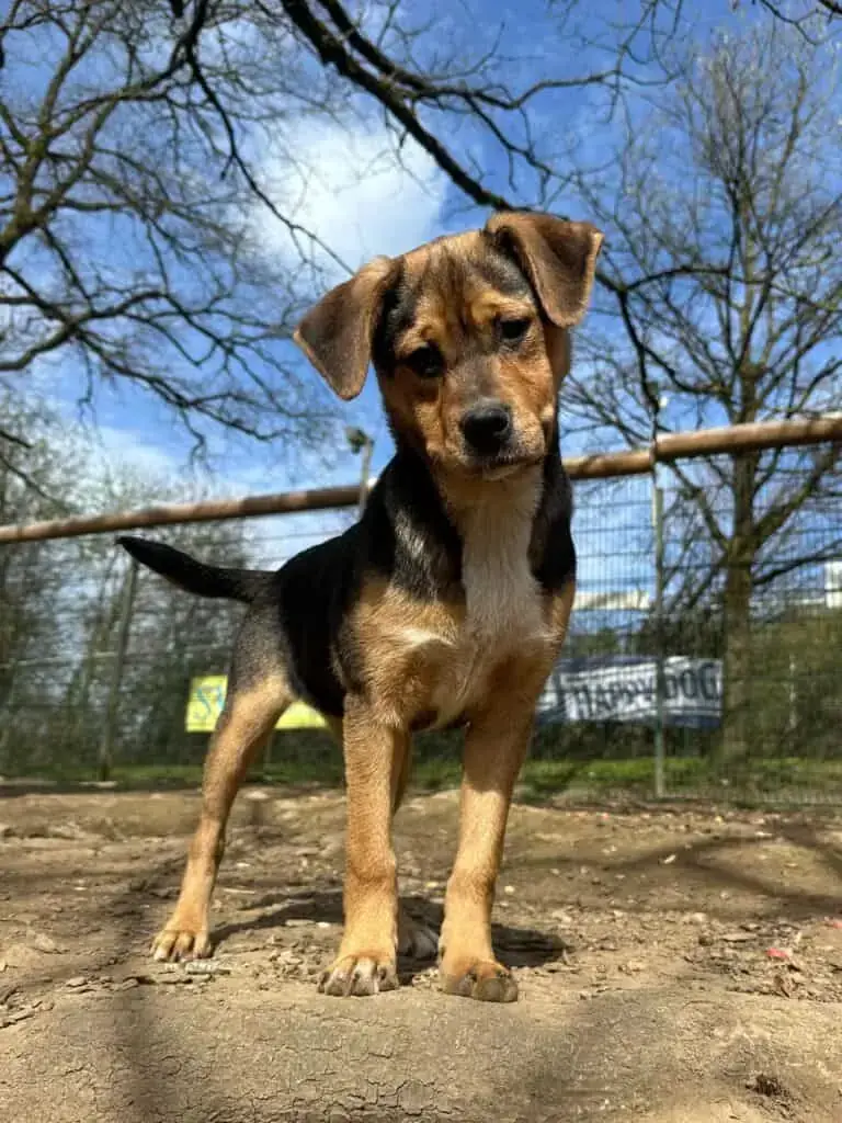 Abby -  - Bild 2