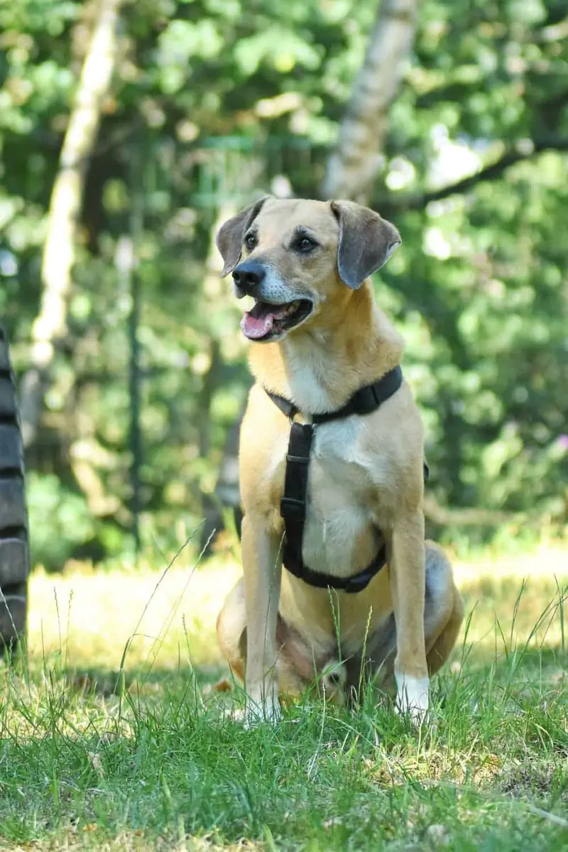 Spike -  - Bild 5