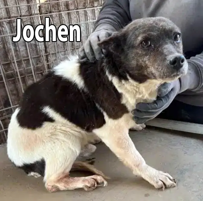 Jochen -  - Bild 29