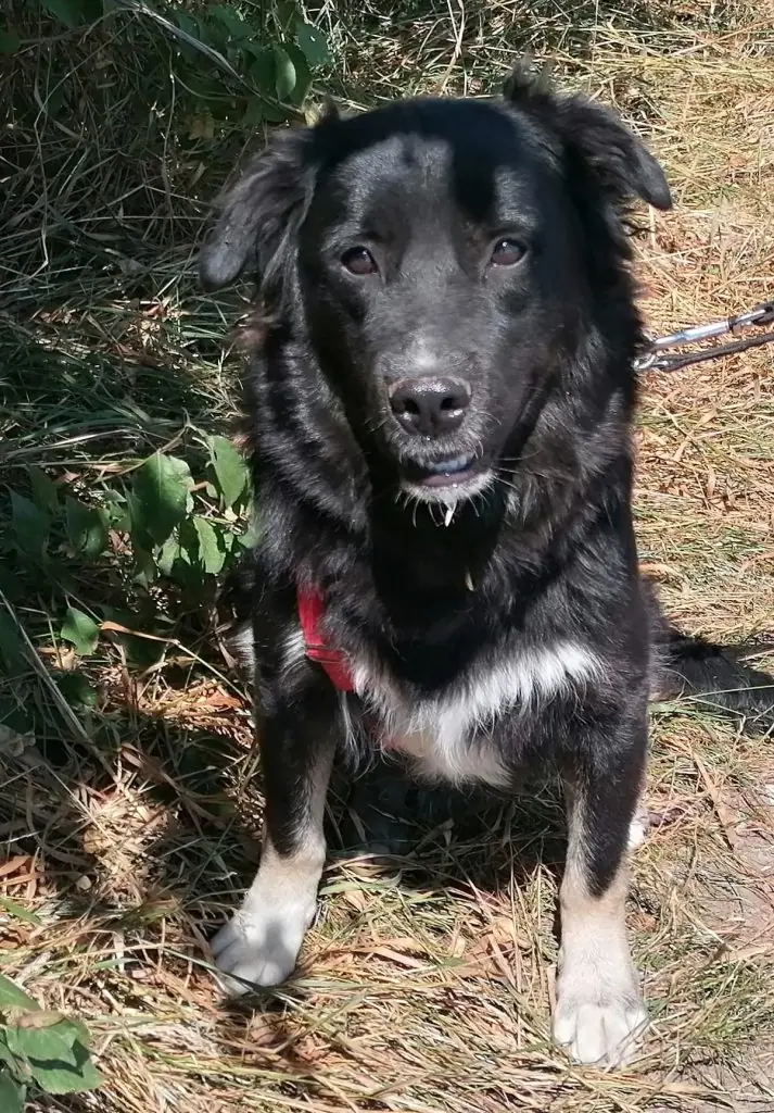 Robby -  - Bild 2