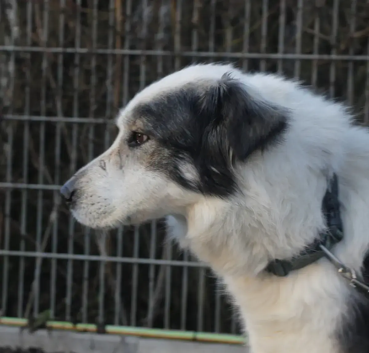 Rita -  - Bild 2