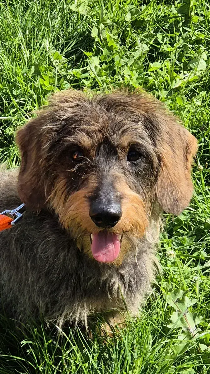 Max -  - Bild 3