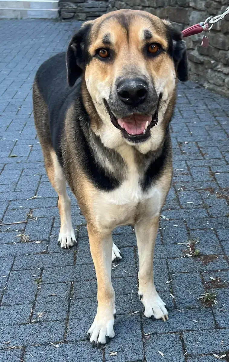 Mara -  - Bild 1