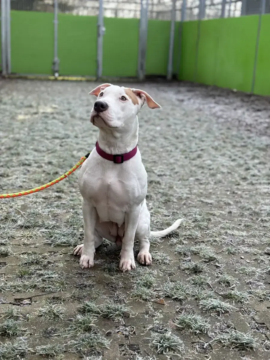 Leyla -  - Bild 14