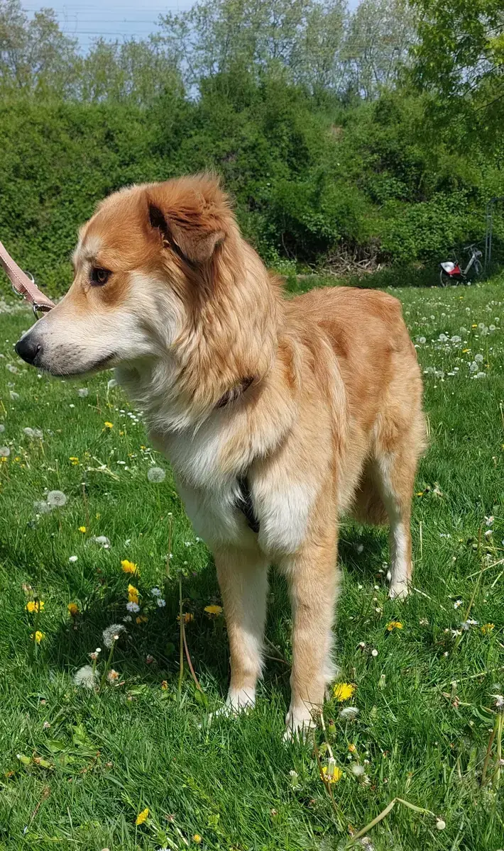 Milo -  - Bild 2