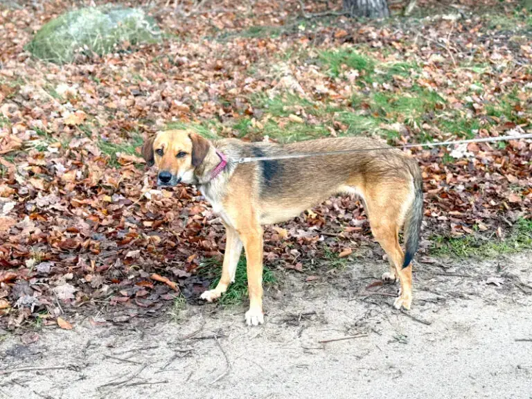 Defne -  - Bild 11