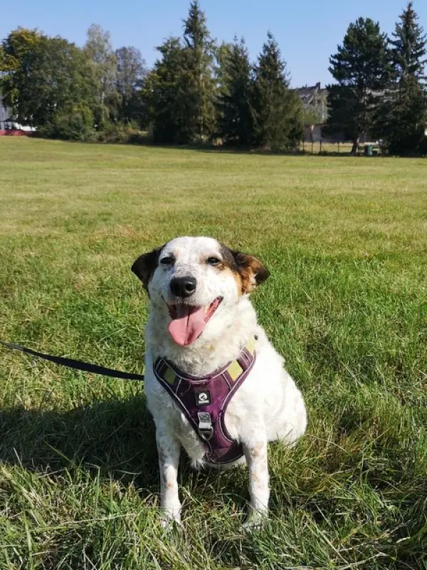 Betty -  - Bild 3