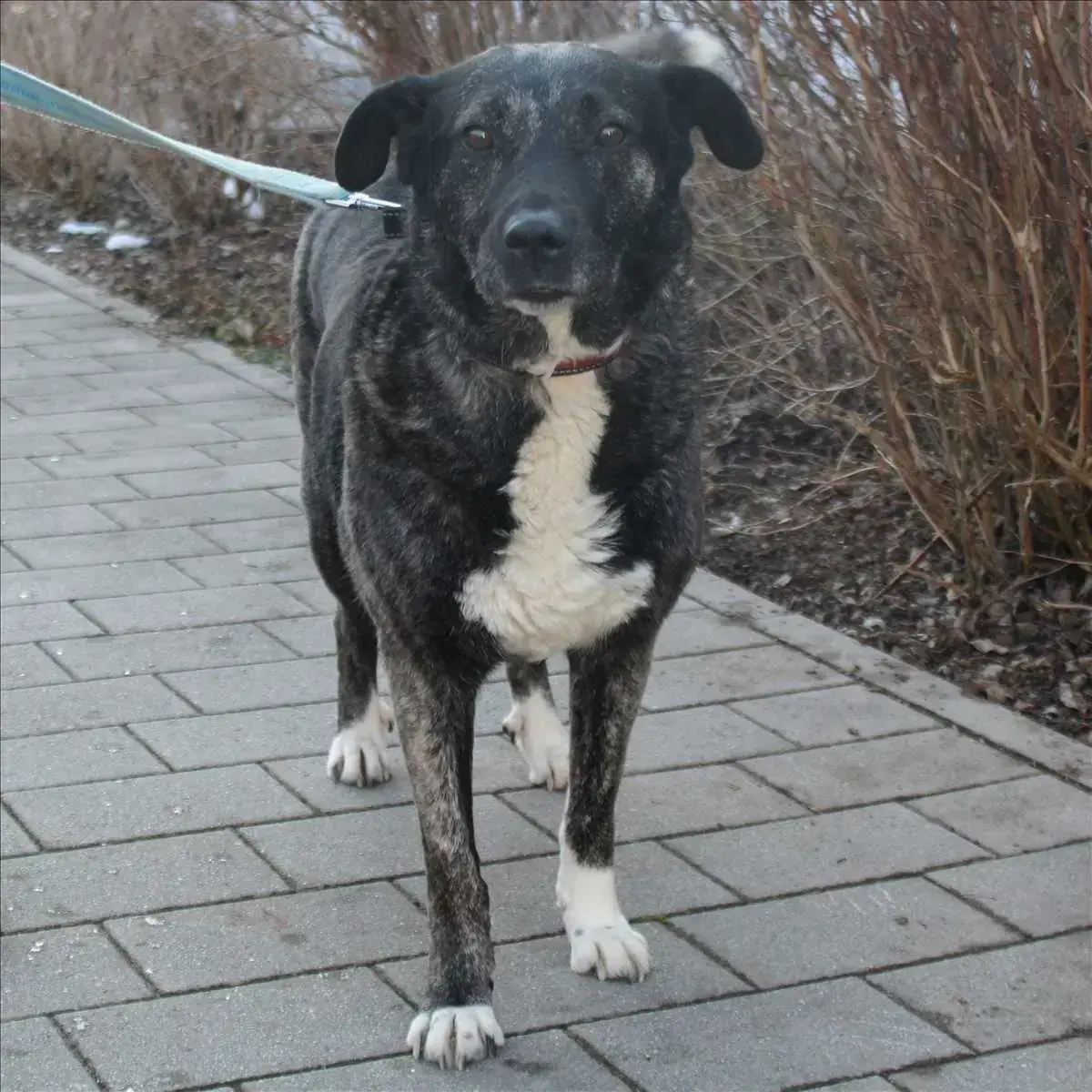 LUNA -  - Bild 2