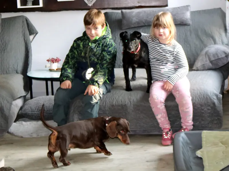 Pety -  - Bild 14