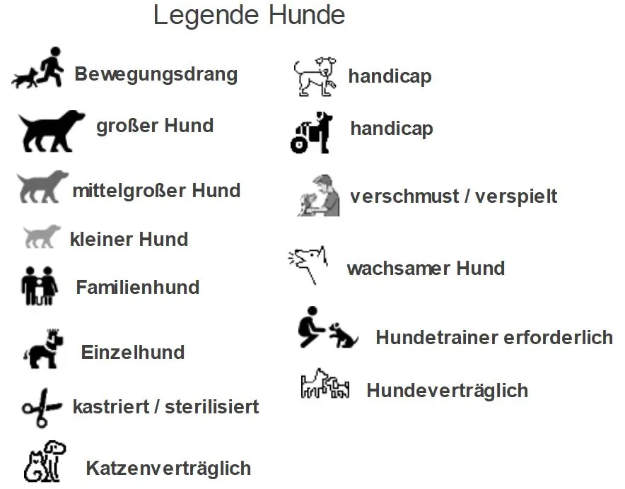 Toto -  - Bild 1