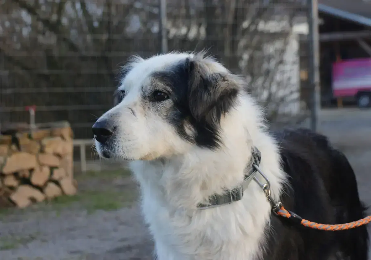 Rita -  - Bild 4