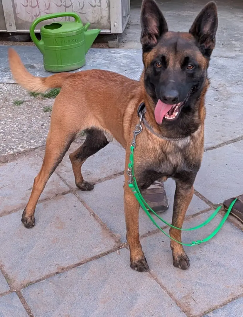 Murphy -  - Bild 3