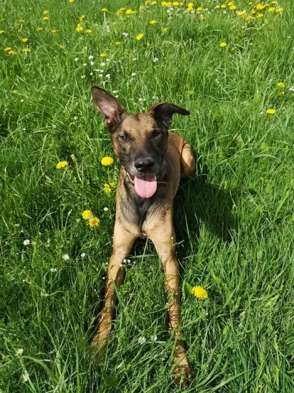 Aki -  - Bild 32