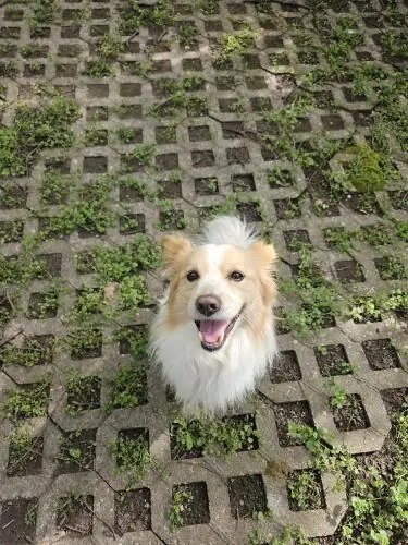Monty -  - Bild 3