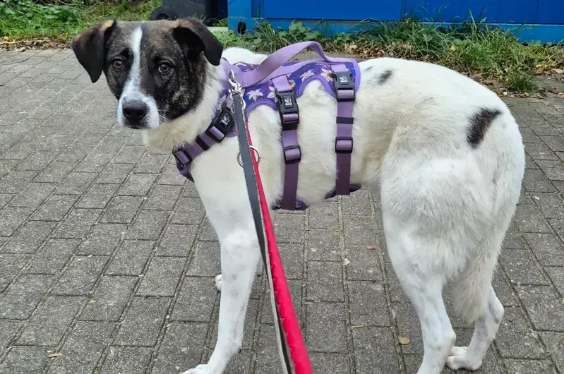 Emma -  - Bild 2