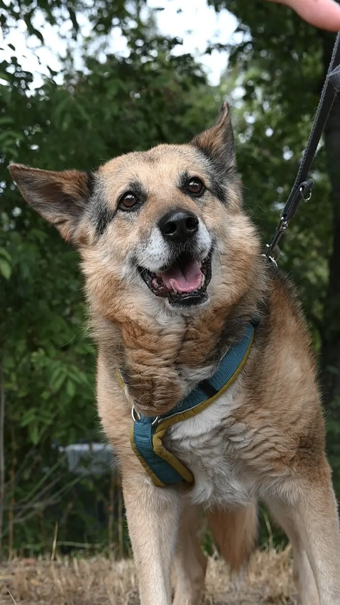 Leevi -  - Bild 2