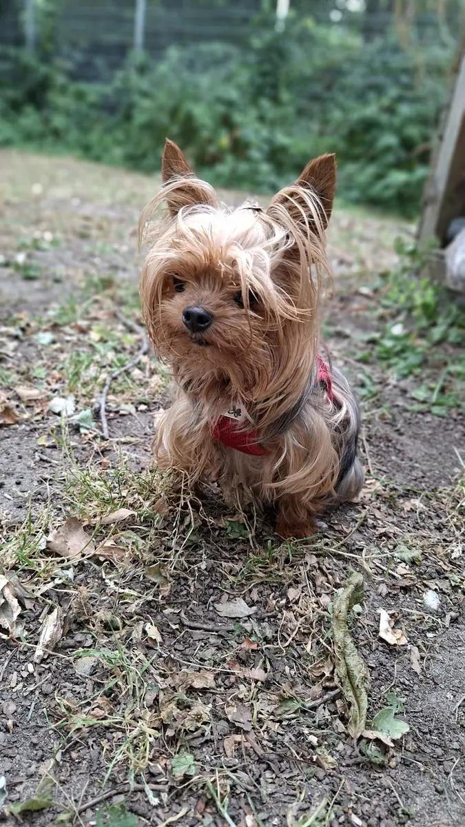 Lucy -  - Bild 1